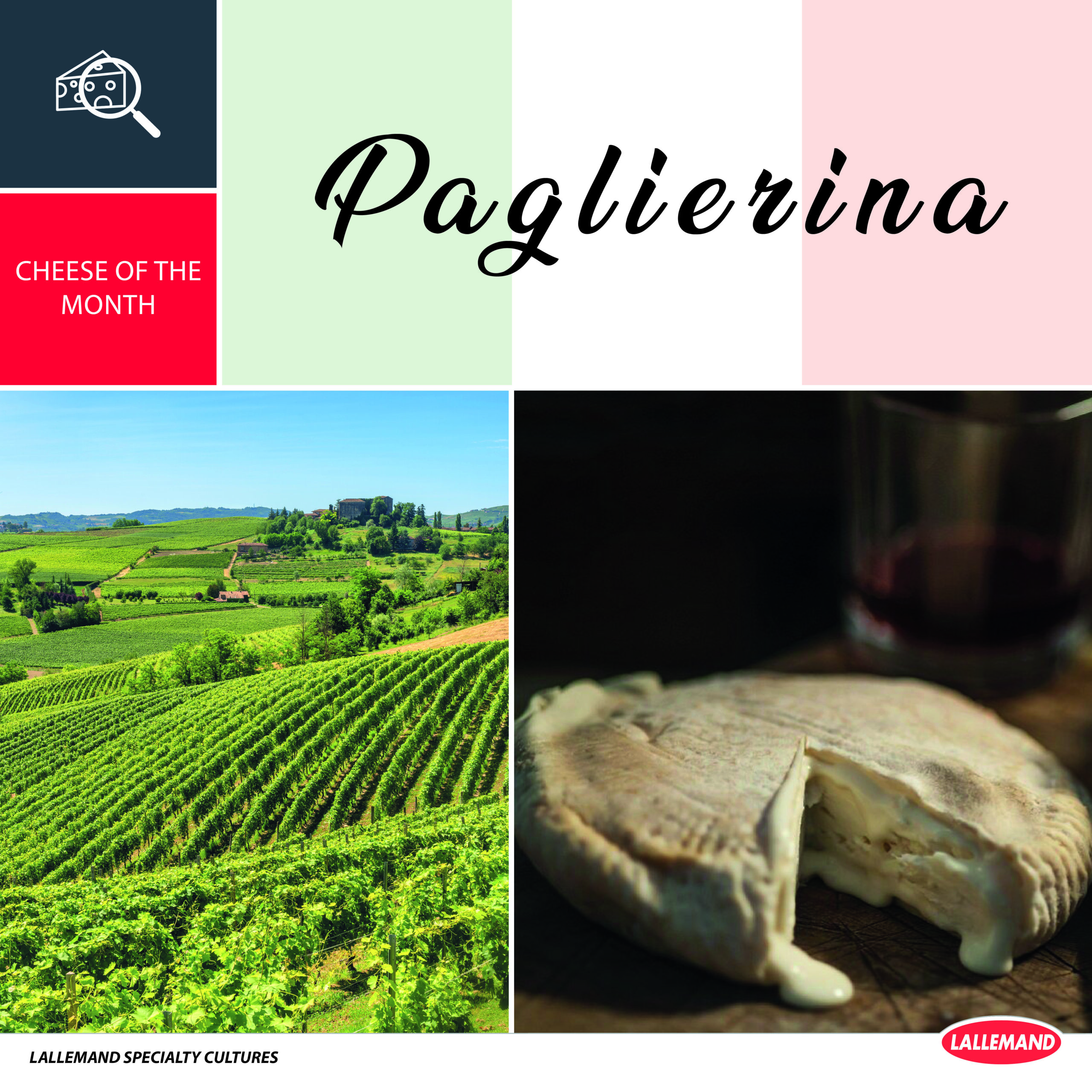 Paglierina, a delicious cheese from Italy!
