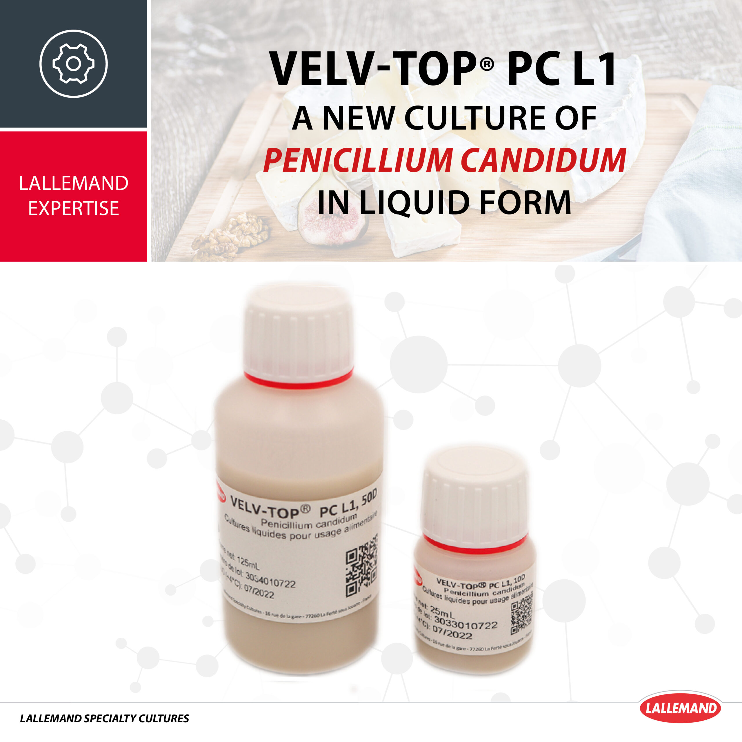 Launch of our very first Penicillium candidum in liquid form
