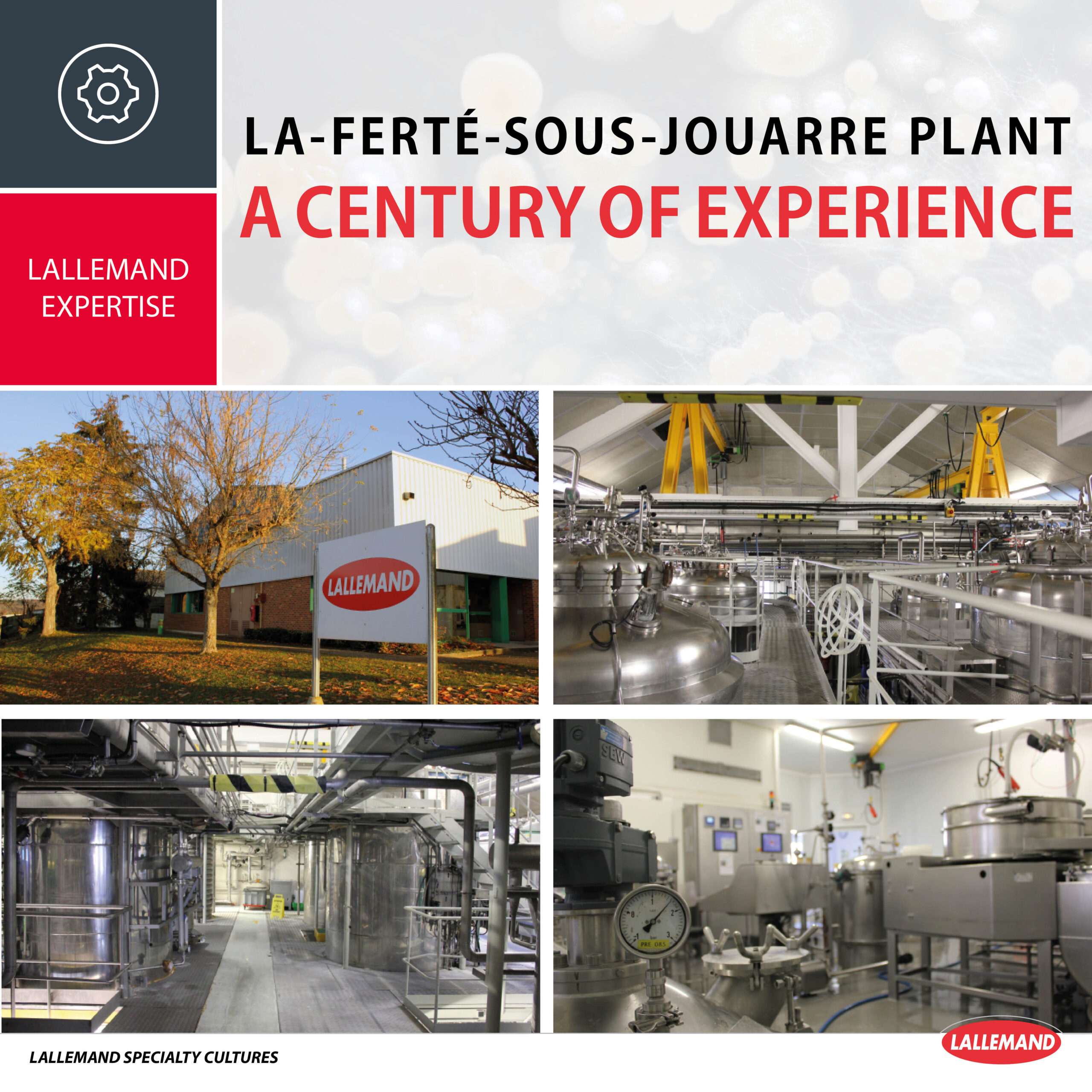 La Ferté-sous-Jouarre plant, a century of experience