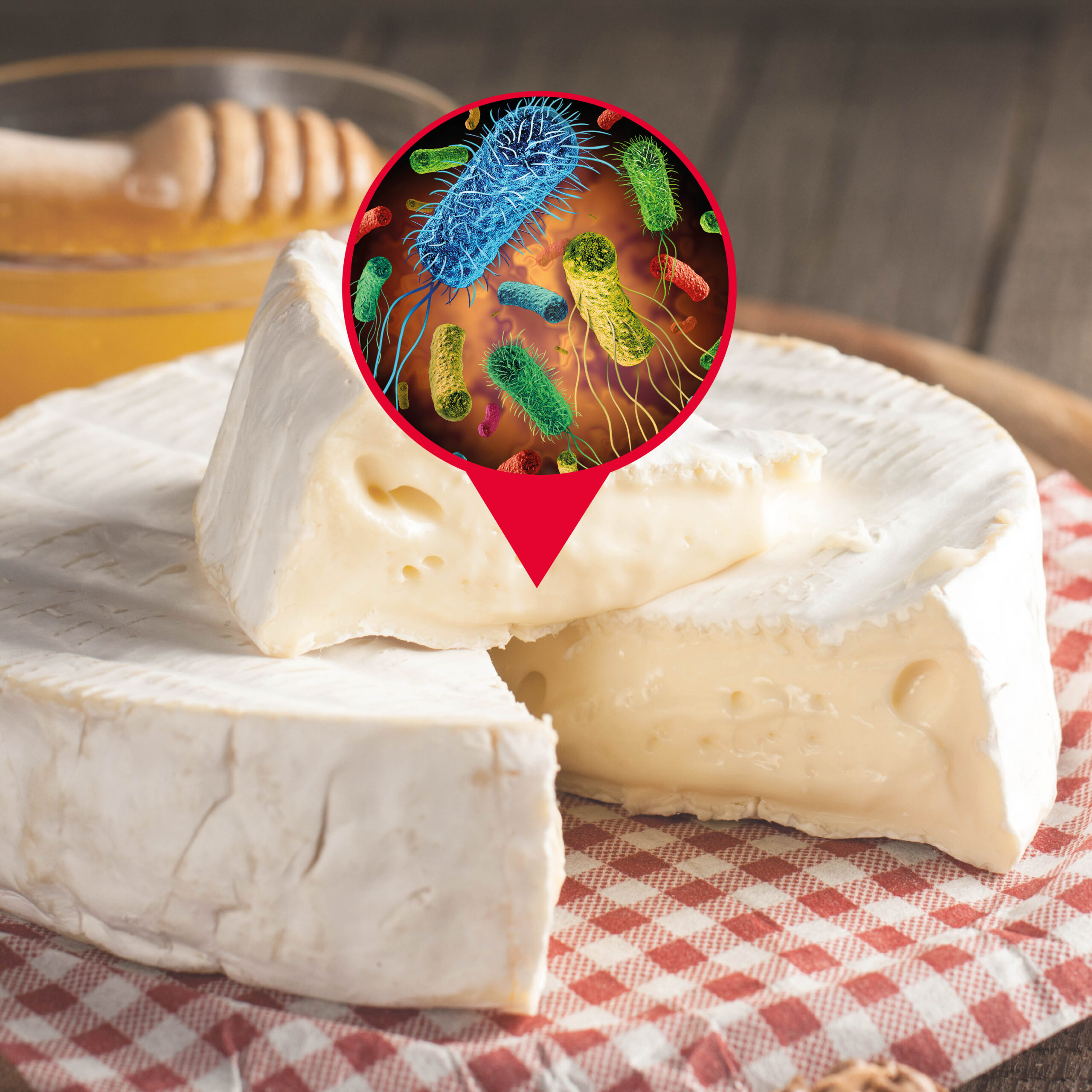 Nouvelle solution bioprotectrice pour contrôler Listeria monocytogenes dans le fromage