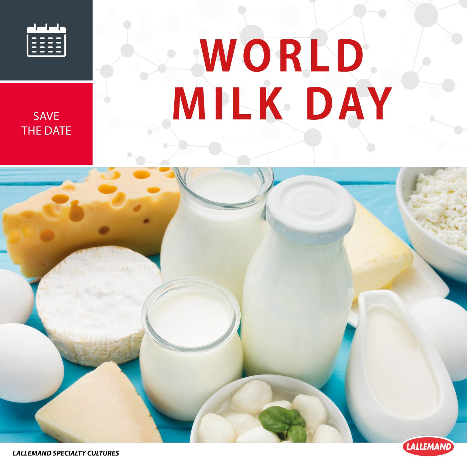 Let’s celebrate World Milk Day! 🥛