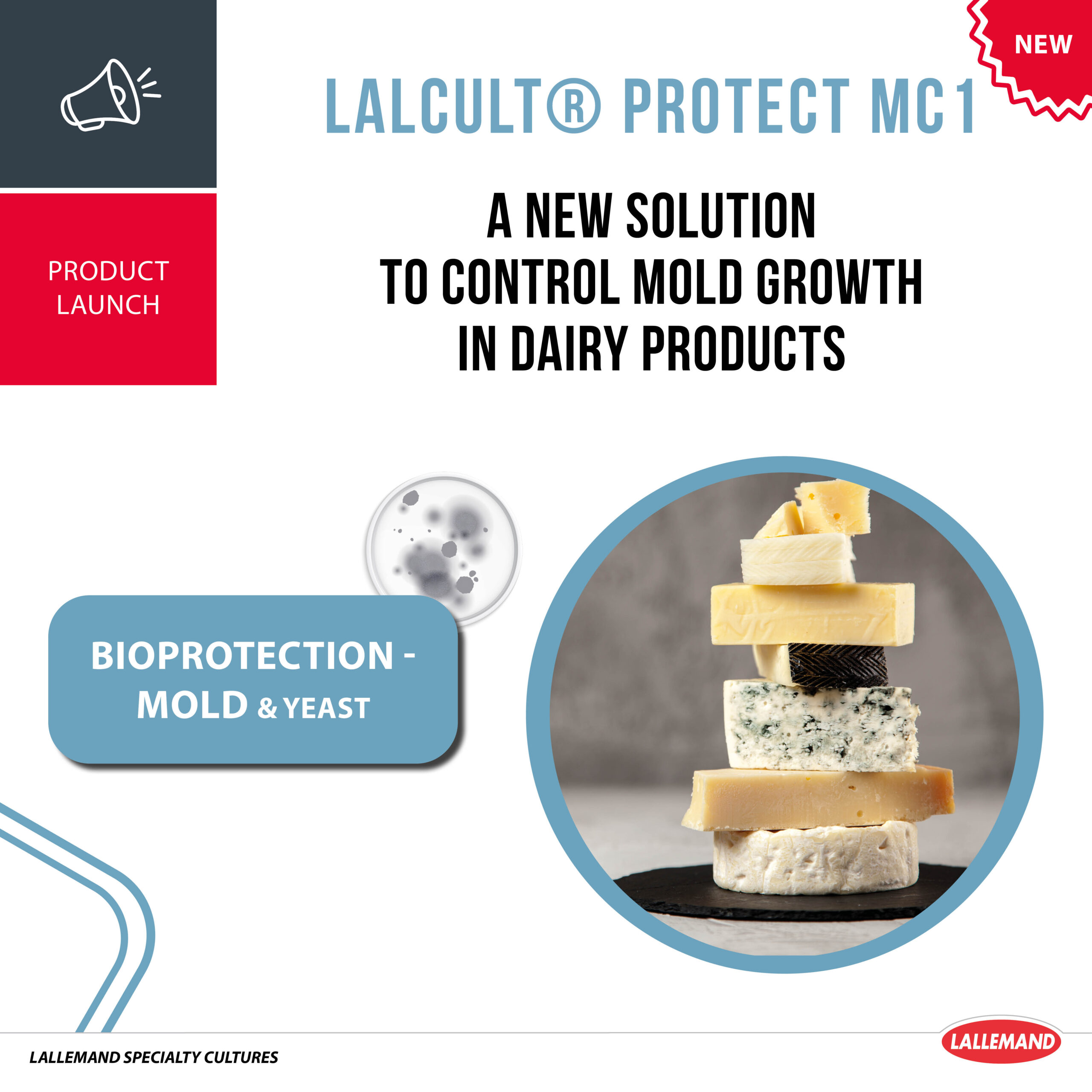 A new bioprotective solution to control mold in dairy products